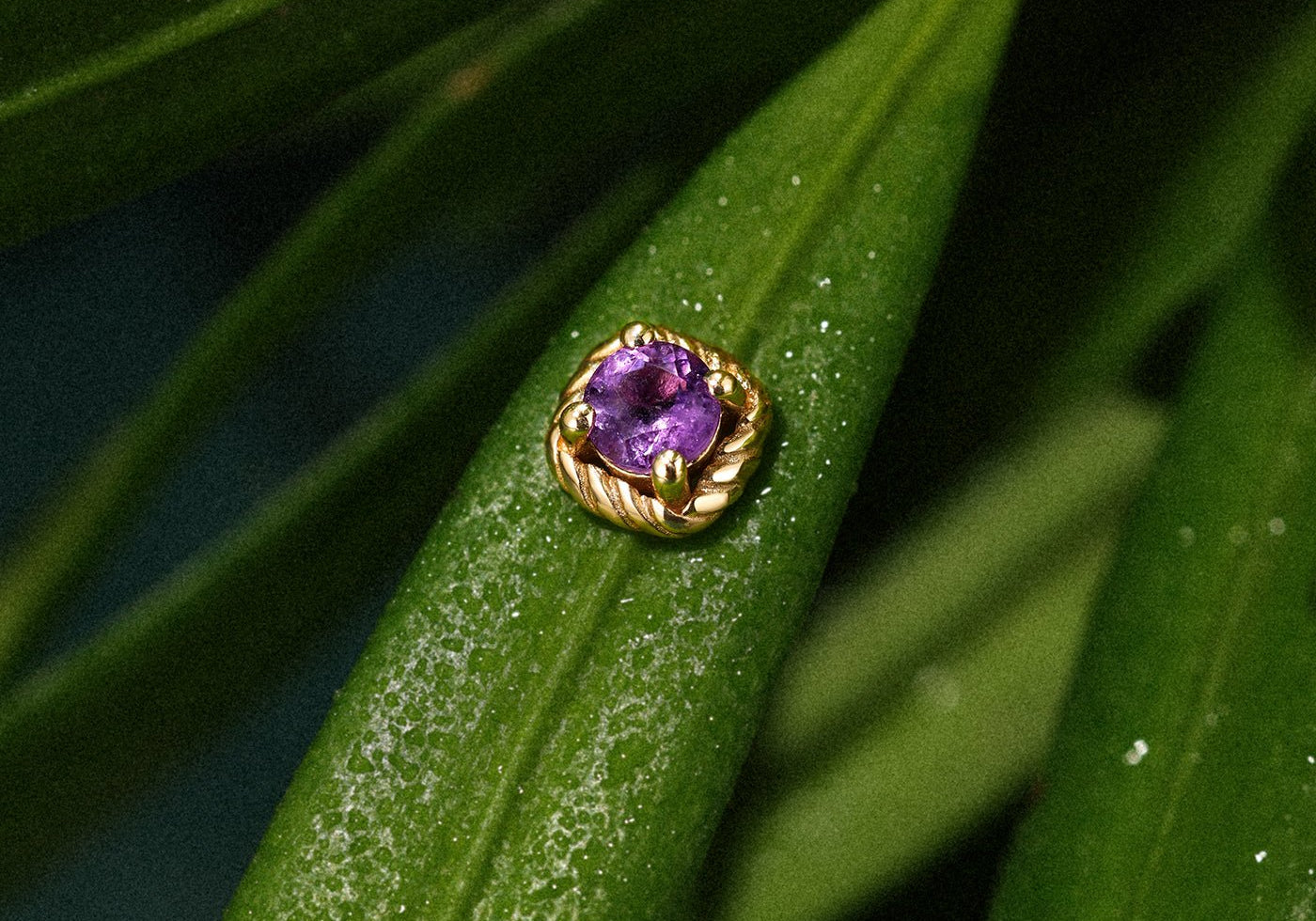 Tragus Piercing: Complete Guide to Pain, Healing & Jewelry (2026) - Kosinerjewelry