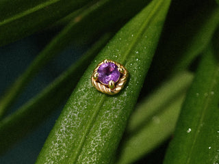 Tragus Piercing: Complete Guide to Pain, Healing & Jewelry (2026)