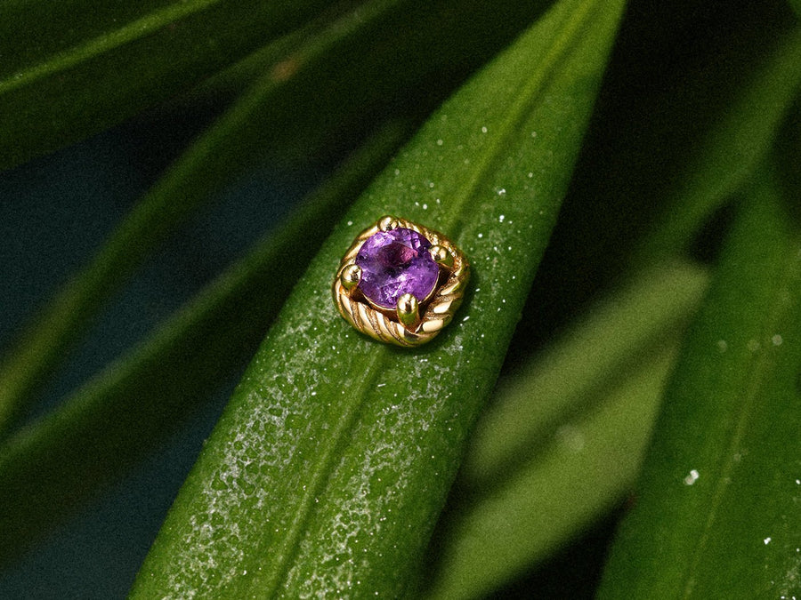 Tragus Piercing: Complete Guide to Pain, Healing & Jewelry (2026)