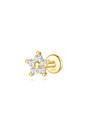Gold plated 925 sterling silver stud earring with delicate fresh flower design and five sparkling zircon stones.