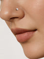 kosiner jewelry G23 Titanium Border Classic Zircon Nose Stud