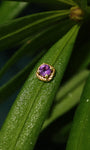 Joias kosiner Gem Garden Ametista Twist Flatback Stud em ouro maciço 14K