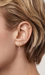 Curated ear styling featuring 14K gold honeycomb hexagon flat back helix stud, layered gold cartilage piercings on human ear close-up