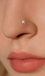 Macro close-up of KOSINER four-prong round stone twist nose stud securely fitted on nostril piercing, highlighting polished gold finish and sparkling center stone