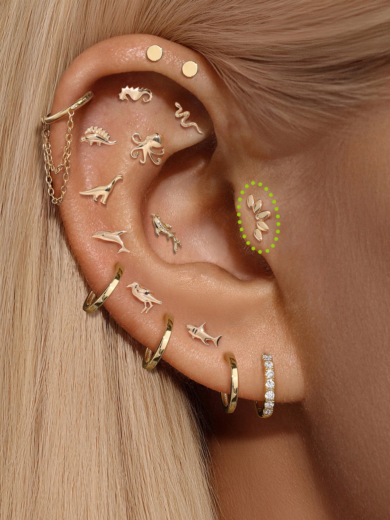 14k Solid Gold Crown Marquise Ear Piercing Stud