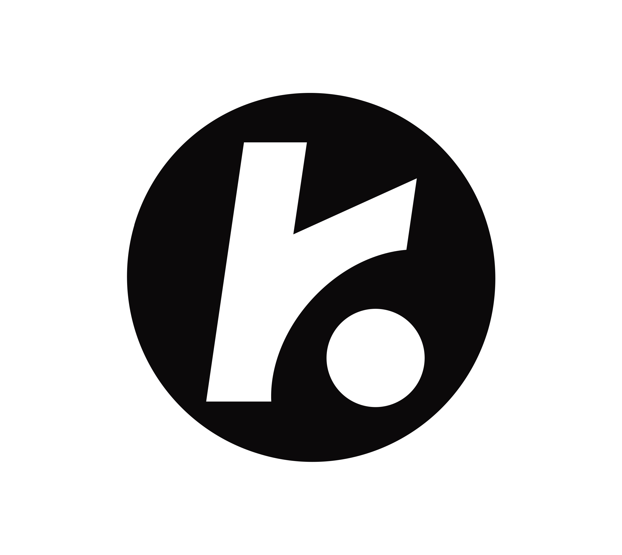 The picture kosinerjewelry.com shows when its homepage is shared