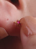 Coastal-themed full ear stacking look with KOSINER 14K gold whale flat back helix stud, matched seahorse, shark, octopus, mermaid tail ocean animal piercing studs, seaside vacation aesthetic multi-piercing ear styling by the sea