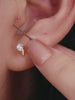 Kosiner Jewelry KOSINER Seaspritz 14K Solid Gold Dainty Seahorse Flat Back Stud